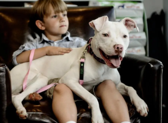 Is it Safe for Children to Be Around Pitbulls?