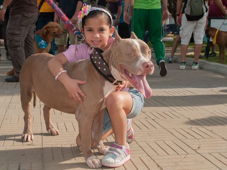 The Truth About Pitbulls And Kids [Facts]