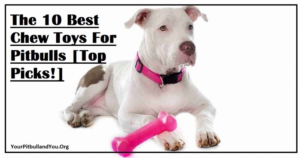 The 10 Best Chew Toys For Pitbulls [top Picks!]